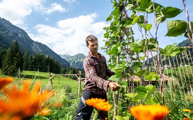 Mann in einem Permakulturgarten, umgeben von blühenden Pflanzen und grünen Bergen im Hintergrund, bei sonnigem Wetter. | © Kleinwalsertal Tourismus eGen • Fotograf: Dominik Berchtold