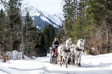 Eine Person fährt mit einer Pferdekutsche durch schneebedeckte Winterlandschaft in den Bergen, umgeben von Nadelbäumen. | © Kleinwalsertal Tourismus eGen • Fotograf: Dominik Berchtold