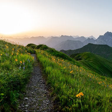 Wanderweg durch eine grüne Bergewiese mit blühenden Blumen, im Hintergrund bergen und Sonnenaufgang am Himmel. | © Kleinwalsertal Tourismus eGen • Fotograf: Erika Dürr