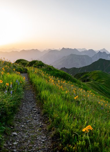 Wanderweg durch eine grüne Bergewiese mit blühenden Blumen, im Hintergrund bergen und Sonnenaufgang am Himmel. | © Kleinwalsertal Tourismus eGen • Fotograf: Erika Dürr