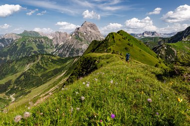 Wanderer auf einer grünen Bergkuppe im Kleinwalsertal mit blühendem Alpenwiesen im Vordergrund, umgeben von hohen Bergen bei schönem Wetter. | © Kleinwalsertal Tourismus eGen • Photographer: Erika Dürr