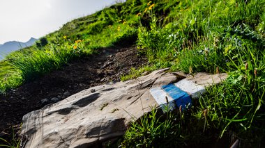 Ein steiniger Wanderweg im Grünen mit einer blauen Markierung auf einem liegen gebliebenen Felsen in den Bergen. | © Kleinwalsertal Tourismus eGen • Fotograf: Erika Dürr