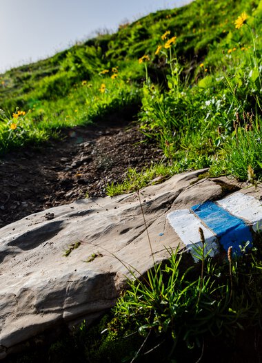Ein steiniger Wanderweg im Grünen mit einer blauen Markierung auf einem liegen gebliebenen Felsen in den Bergen. | © Kleinwalsertal Tourismus eGen • Fotograf: Erika Dürr