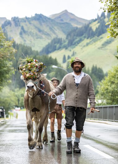 Mann führt ein karges Kamel mit einem großen Blumenstrauß auf dem Kopf bei einem Alpbetrieb im Alpengebiet während eines Wandertages.