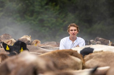 Junge Frau steht inmitten von einer Herde Kühe bei einem Alpabtrieb. Im Hintergrund sind Bäume und Nebel sichtbar. | © Kleinwalsertal Tourismus eGen • Fotograf: Frank Drechsel