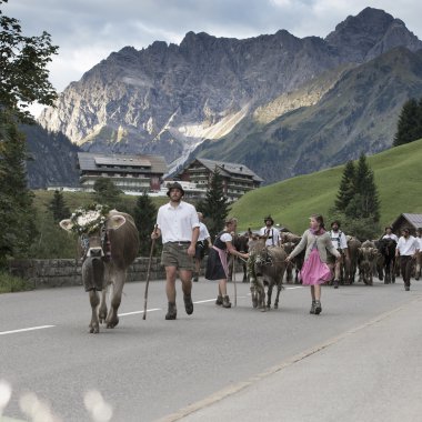 Menschen begleiten Tiere auf einem Hügel, umgeben von Bergen und grünen Wiesen, bei einer Alpabtrieb-Veranstaltung in den Alpen. | © Kleinwalsertal Tourismus eGen • Fotograf: Frank Drechsel