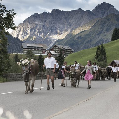 Menschen begleiten Tiere auf einem Hügel, umgeben von Bergen und grünen Wiesen, bei einer Alpabtrieb-Veranstaltung in den Alpen. | © Kleinwalsertal Tourismus eGen • Fotograf: Frank Drechsel