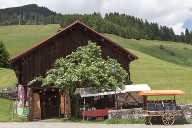 Holzhaus an einem grünen Hügel, mit einem großen Baum vor dem Eingang und Markttischen draußen | © Kleinwalsertal Tourismus eGen • Fotograf: Frank Drechsel