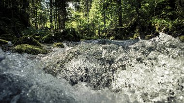 © Kleinwalsertal Tourismus eGen • Fotograf: Oliver Farys Ein schneller Fluss in einem grünen Wald mit Sonnenlicht, das durch die Bäume scheint. | © Kleinwalsertal Tourismus eGen • Fotograf: Oliver Farys