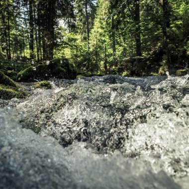 Ein schneller Fluss in einem grünen Wald mit Sonnenlicht, das durch die Bäume scheint. | © Kleinwalsertal Tourismus eGen • Fotograf: Oliver Farys