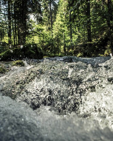 Ein schneller Fluss in einem grünen Wald mit Sonnenlicht, das durch die Bäume scheint. | © Kleinwalsertal Tourismus eGen • Fotograf: Oliver Farys