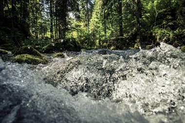 Ein schneller Fluss in einem grünen Wald mit Sonnenlicht, das durch die Bäume scheint. | © Kleinwalsertal Tourismus eGen • Fotograf: Oliver Farys