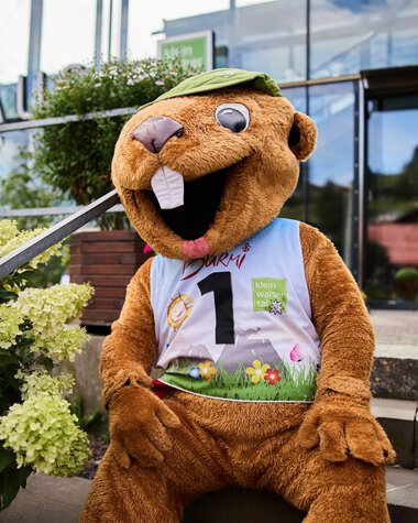 Ein Tierkostüm einer Murmeltier-Figur bei einer Veranstaltung im Sommer 2023 im Kleinwalsertal, umgeben von weißen Hortensien. | © Kleinwalsertal Tourismus eGen • Fotograf: Oliver Farys