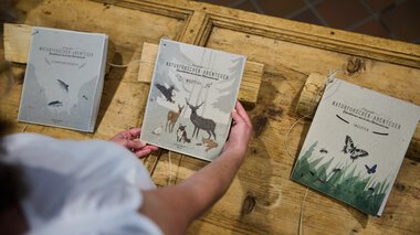 Ein Kind betrachtet Bücher über Naturforscherabenteuer und Insekten, die auf einem Holztisch liegen. | © Kleinwalsertal Tourismus eGen • Fotograf: Oliver Farys