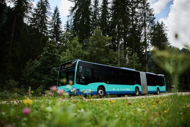 Ein blauer Einsatzzug-Walserbus fährt durch eine grüne Waldlandschaft auf einer Straße im Kleinwalsertal. | © Kleinwalsertal Tourismus eGen • Fotograf: Oliver Farys