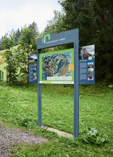 Wanderweg mit Infotafel im Grünen, entlang eines schmalen Wegs durch den Wald. | © Kleinwalsertal Tourismus eGen • Fotograf: Oliver Farys