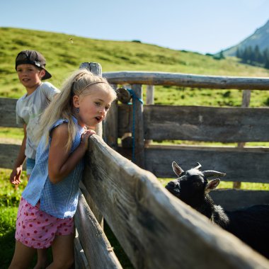 Drei Kinder beobachten neugierig eine Ziege im Zaun auf einer Alm im Kleinwalsertal, umgeben von grünen Wiesen und Bergen bei sonnigem Wetter. | © Kleinwalsertal Tourismus eGen • Fotograf: Oliver Farys