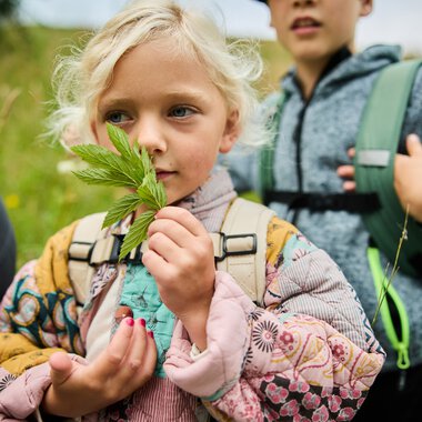 Ein junges Mädchen bei einer Wildnistag-Abenteueraktivität in Kleinwalsertal, das eine grüne Pflanze hält und neugierig in die Kamera schaut. | © Kleinwalsertal Tourismus eGen • Fotograf: Oliver Farys