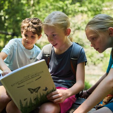 Drei Kinder sitzen im Wald und lesen gemeinsam ein Buch über Naturforschung, umgeben von grünen Bäumen an einem sonnigen Tag. | © Kleinwalsertal Tourismus eGen • Fotograf: Oliver Farys