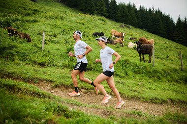 Zwei Frauen joggen einen grasbewachsenen Trail im Grünen, umgeben von Kühen und Blick auf den Wald im Hintergrund. | © Kleinwalsertal Tourismus eGen • Fotograf: Oliver Farys