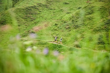 Zwei Trailrunner laufen auf einem schmalen Pfad durch eine grüne, hügelige Landschaft im Kleinwalsertal. | © Kleinwalsertal Tourismus eGen • Fotograf: Oliver Farys