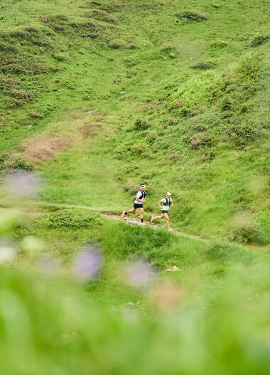 Zwei Trailrunner laufen auf einem schmalen Pfad durch eine grüne, hügelige Landschaft im Kleinwalsertal. | © Kleinwalsertal Tourismus eGen • Fotograf: Oliver Farys