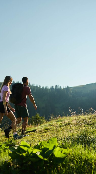 Four hikers in athletic clothing walking on a sunny, green mountain meadow with a mountain background. Bright sunny day during summer. | © Kleinwalsertal Tourismus eGen • Photographer: Oliver Farys