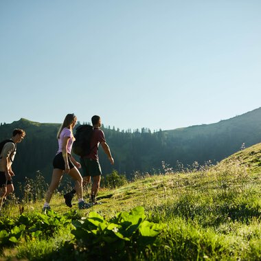 Four hikers in athletic clothing walking on a sunny, green mountain meadow with a mountain background. Bright sunny day during summer. | © Kleinwalsertal Tourismus eGen • Photographer: Oliver Farys