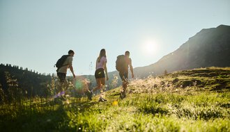 Drei Wanderer in Bewegung auf einem grünen Hang im Kleinwalsertal bei Sonnenaufgang, mit Berggipfeln im Hintergrund. | © Kleinwalsertal Tourismus eGen • Fotograf: Oliver Farys
