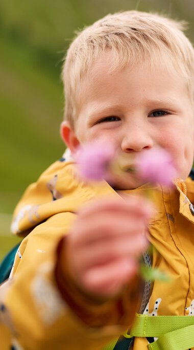 Ein Junge mit einem gelben Regenjacke, der im Grünen wandert und eine Blume in Richtung Kamera hält. | © Kleinwalsertal Tourismus eGen • Fotograf: Oliver Farys