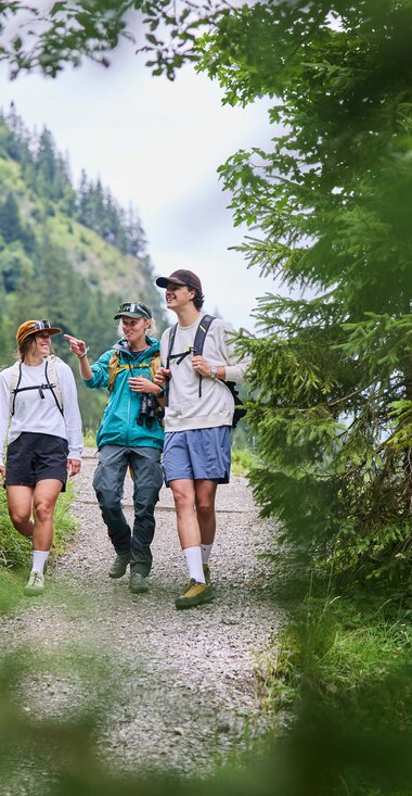 Drei Wanderer gehen auf einem Pfad durch eine grüne, bewaldete Landschaft im Kleinwalsertal. | © Kleinwalsertal Tourismus eGen • Fotograf: Oliver Farys
