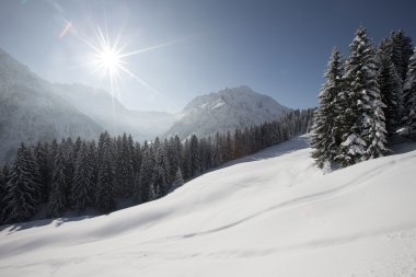 Winterlandschaft mit schneebedeckten Bäumen und Bergen bei Sonnenschein auf dem Walmendingerhorn. | © Kleinwalsertal Tourismus eGen • Fotograf: Oliver Farys