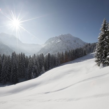 Winterlandschaft mit schneebedeckten Bäumen und Bergen bei Sonnenschein auf dem Walmendingerhorn. | © Kleinwalsertal Tourismus eGen • Fotograf: Oliver Farys