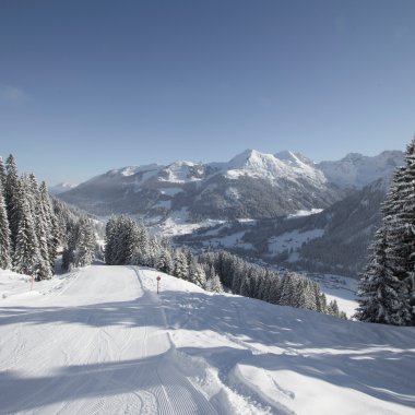 Winterlandschaft mit verschneiten Bergen, Tannenbäumen und Skiwellen bei Walmendingerhorn im Allgäu. | © Kleinwalsertal Tourismus eGen • Fotograf: Oliver Farys