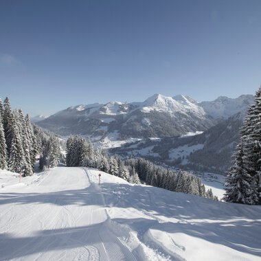 Winter landscape with snow-covered mountains, pine trees, and ski tracks at Walmendingerhorn in the Allgäu. | © Kleinwalsertal Tourismus eGen • Photographer: Oliver Farys