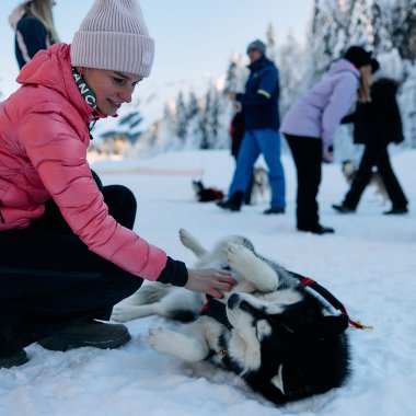 Junge Frau spielt mit einem Huskyschlitten-Husky in verschneitem Winterland, im Hintergrund Menschen beim Winteraktivitäten. | ©  Kleinwalsertal Tourismus eGen • Fotograf: Oliver Farys