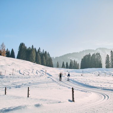 Schneebedeutes Winterland mit Skifahrern, klare blauer Himmel, im Hintergrund Tannenbäume und sanfte Hügel im Kleinwalsertal. | © Kleinwalsertal Tourismus eGen • Fotograf: Oliver Farys
