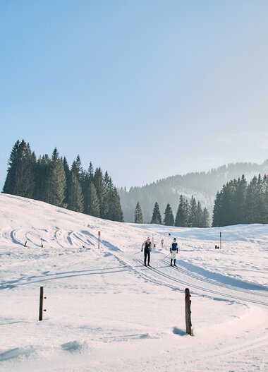Schneebedeutes Winterland mit Skifahrern, klare blauer Himmel, im Hintergrund Tannenbäume und sanfte Hügel im Kleinwalsertal. | © Kleinwalsertal Tourismus eGen • Fotograf: Oliver Farys