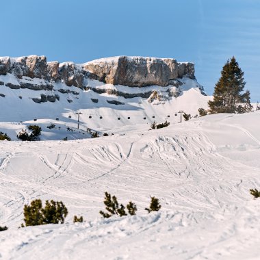 Winterlandschaft mit präparierten Skipisten und verschneiten Bäumen im Kleinwalsertal, mit Felsen im Hintergrund und klarem blauen Himmel | © Kleinwalsertal Tourismus eGen • Fotograf: Oliver Farys
