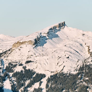 Schneebedeckte Berge und Wälder im Winter in den Alpen, Blick auf die Kanzelwand im Kleinwalsertal. | © Kleinwalsertal Tourismus eGen • Fotograf: Oliver Farys