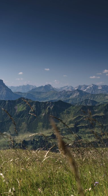 Landschaft mit grünen Bergen und Wiesen unter einem klaren blauen Himmel, im Sommer 2024. | © Kleinwalsertal Tourismus eGen • Fotograf: Robert Niederwolfsgruber