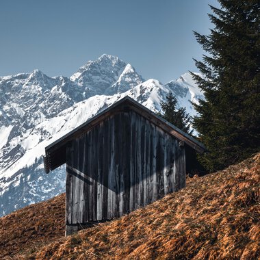 Ein kleines, dunkles Holzhaus auf einer Bergwiese mit schneebedeckten Bergen im Hintergrund bei schönem Wetter. | ©  Kleinwalsertal Tourismus eGen • Fotograf: Robert Niederwolfsgruber