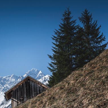 Blick auf eine steile Hügellandschaft mit einem alten Holzhaus, Tannenbäumen und schneebedeckten Bergen im Hintergrund. | © Kleinwalsertal Tourismus eGen • Fotograf: Robert Niederwolfsgruber