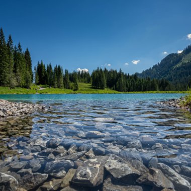 Klares Bergsee mit steinigen Ufern, umgeben von grünen Wiesen und dichten Tannenwäldern, unter einem blauen Himmel. | ©  Kleinwalsertal Tourismus eGen • Fotograf: Robert Niederwolfsgruber