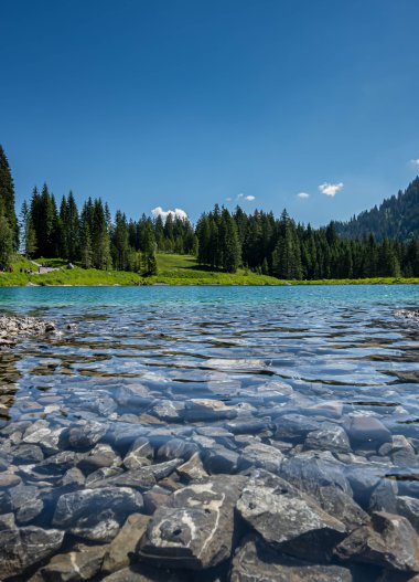 Klares Bergsee mit steinigen Ufern, umgeben von grünen Wiesen und dichten Tannenwäldern, unter einem blauen Himmel. | ©  Kleinwalsertal Tourismus eGen • Fotograf: Robert Niederwolfsgruber