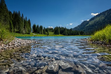 Klares Bergsee mit steinigen Ufern, umgeben von grünen Wiesen und dichten Tannenwäldern, unter einem blauen Himmel. | ©  Kleinwalsertal Tourismus eGen • Fotograf: Robert Niederwolfsgruber