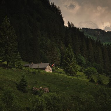 Landschaftsszene mit Hütten in einer grünen, bewaldeten Hügellandschaft unter einem bewölkten Himmel. | © Kleinwalsertal Tourismus eGen • Fotograf: Robert Niederwolfsgruber