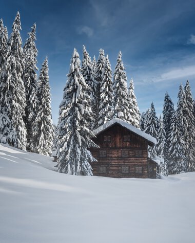 Eine schneebedeckte Winterlandschaft mit einer kleinen Holzschutzhütte vor einer dichten, verschneiten Baumgruppe unter einem blauen Himmel. | © Kleinwalsertal Tourismus eGen • Fotograf: Robert Niederwolfsgruber