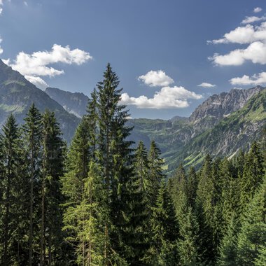 Berglandschaft mit hohen Gipfeln, grünen Wäldern und einem blauen Himmel mit Wolken, aufgenommen während eines Sommerausflugs. | © Kleinwalsertal Tourismus eGen • Fotograf: Steffen Berschin 