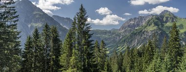 Berglandschaft mit hohen Gipfeln, grünen Wäldern und einem blauen Himmel mit Wolken, aufgenommen während eines Sommerausflugs. | © Kleinwalsertal Tourismus eGen • Fotograf: Steffen Berschin 